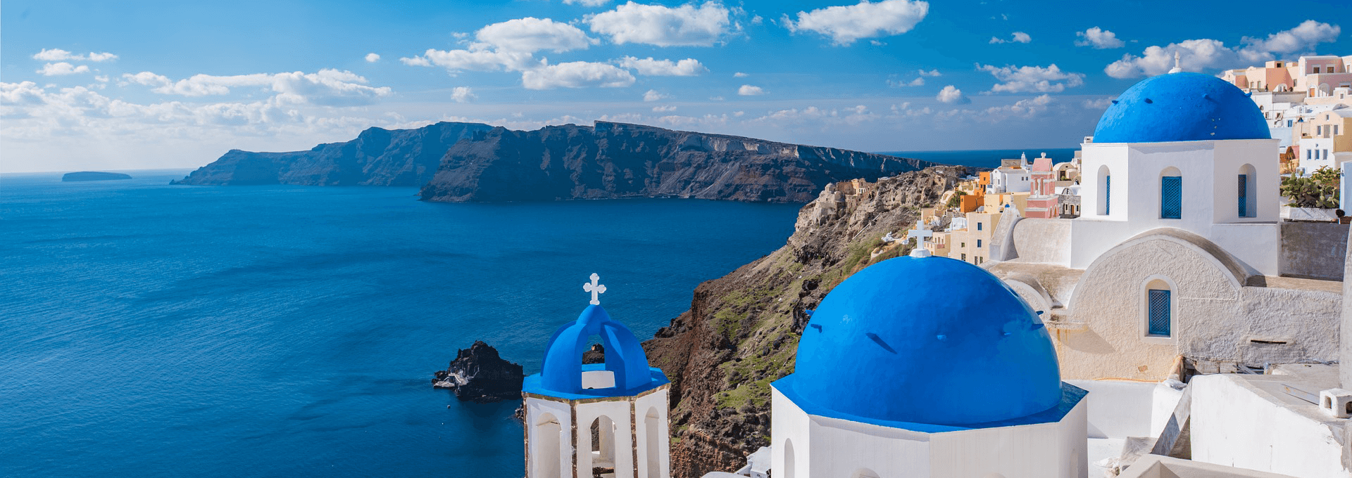 国際新型コロナ衛生対策協会